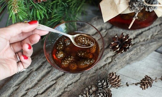 Tintura à base de botões de pinheiro para o tratamento da osteocondrose cervical em casa